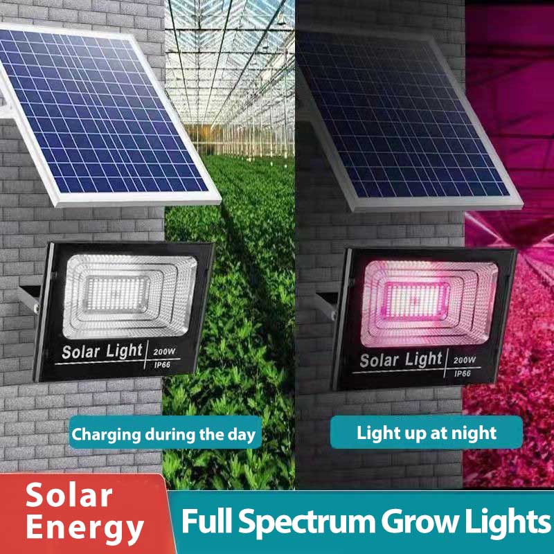 Renewable Energy Project - Solarbetriebene LED-Pflanzen-Wachstumslichter mit Fernbedienung, dimmbare Garten-Wachstumslampe,