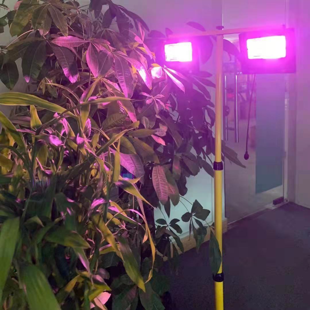 35/60 W Solar-LED-Wachstumslic – Renewable Energy Project Bewertung und Preis